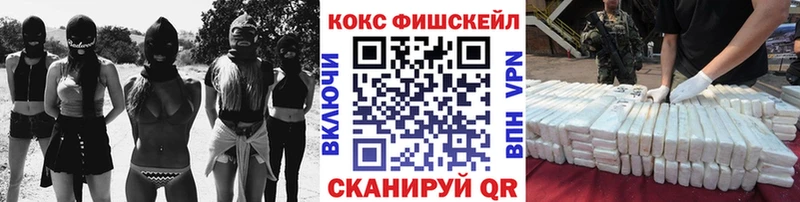 Кокаин Fish Scale  Купить  Онега 