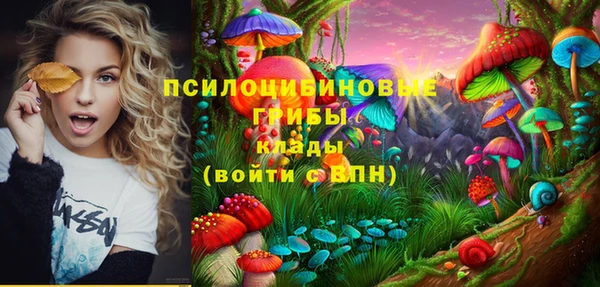 бутират Горняк