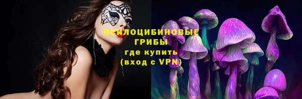 бутират Горняк