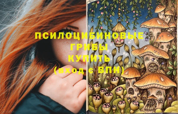 герыч Горнозаводск